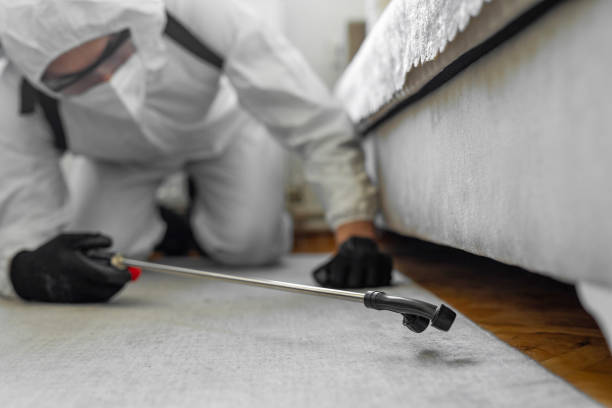 Professional Bed Bug Control technician working in Arlington, GA
